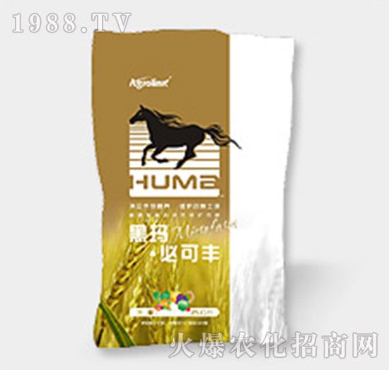 �ڬ�-�ؿ��S-�S(li��n)�r(n��ng)�I(y��)