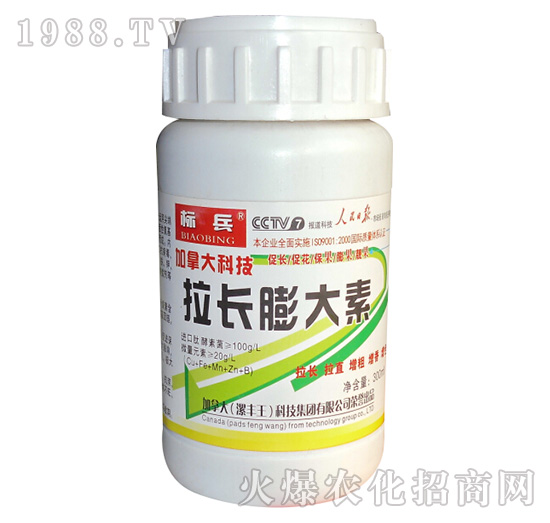 ���L�����-�˱�-���S��