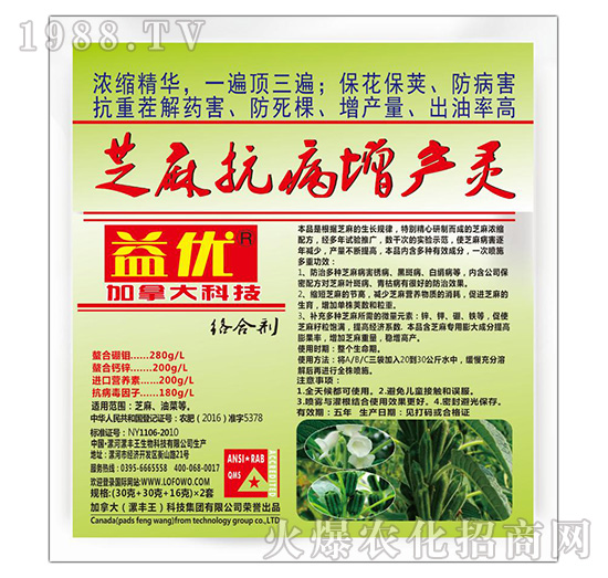 ֥�鿹�����a(ch��n)�`-�惞(y��u)-���S��