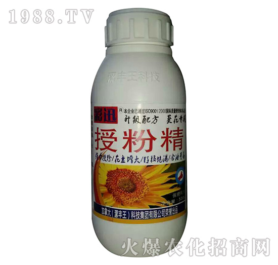 �ڷ۾�-���S��