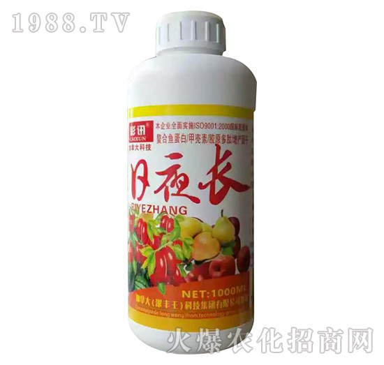 ��ҹ�L-��Ӎ-���S��