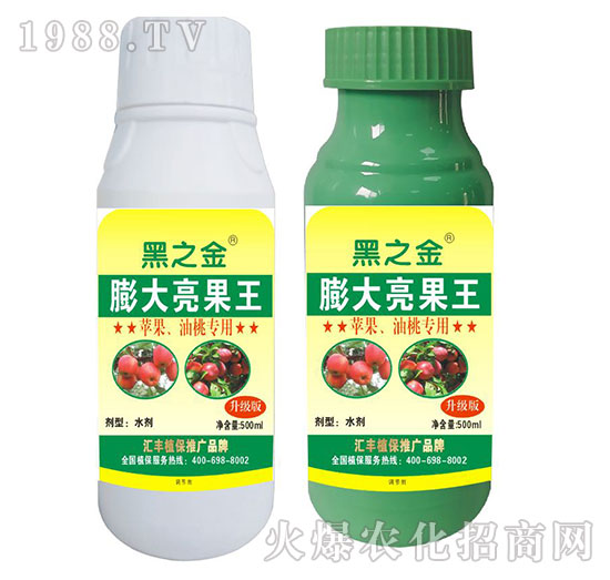 �O�������Ҍ������������-�R�Sֲ��