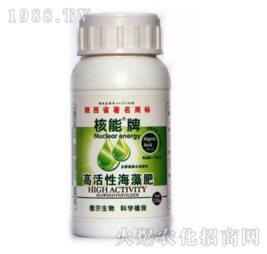 �߻��Ժ����-����-� �����