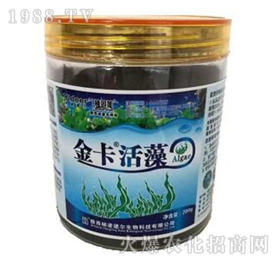 �𿨻���-� �����