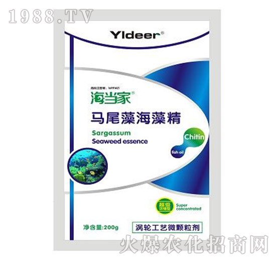 �Rβ�庣�徫-����(d��ng)��-��?t��ng)����? style=