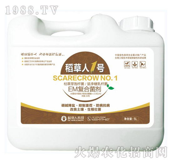 EM�ͺϾ���-������1̖-������