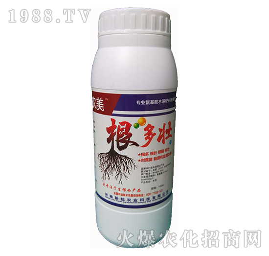 ������-�³�