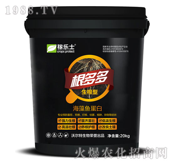 �����ͺ����~����-�����-�ژ�ʿ