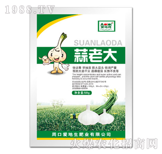 蒜老大-愛(ài)地得-愛(ài)地生