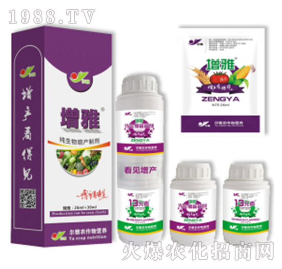 ���ţ��ײͣ�-Ǭ�r