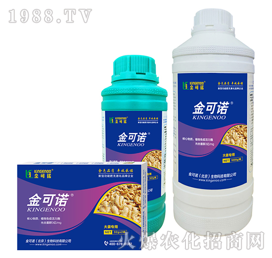 �󽪌���-����Z