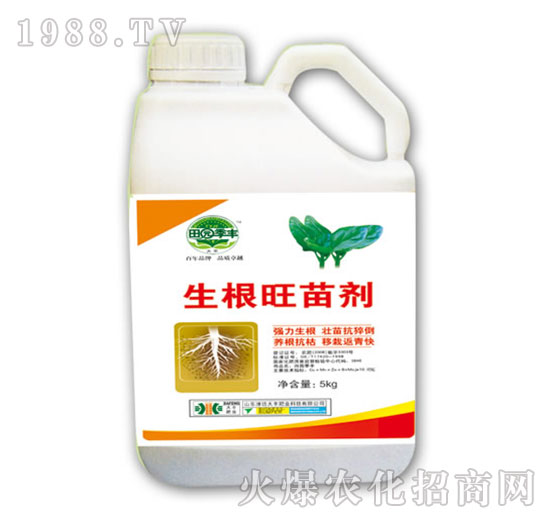 �������焩-��@���S-���S�ʘI(y��)