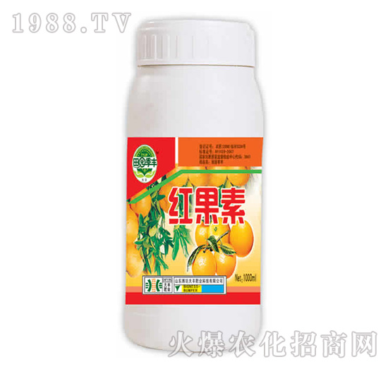 紅果素-田園季豐-大豐肥業(yè)