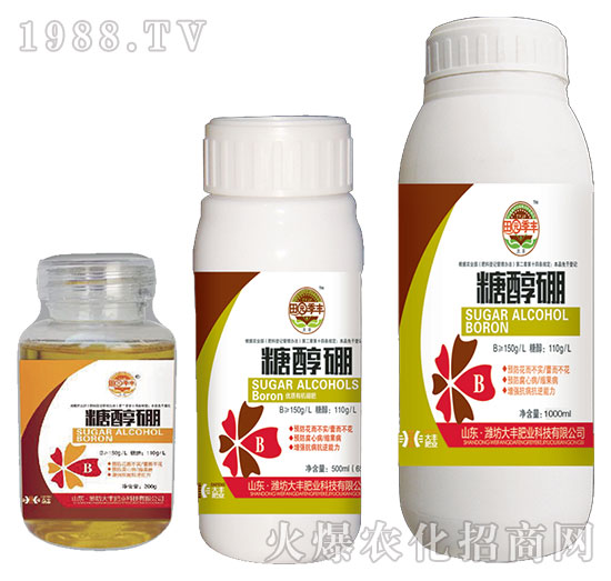 �Ǵ���-��@���S-���S�ʘI(y��)