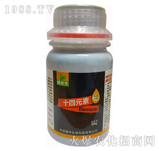 ʮ��Ԫ��-���S����