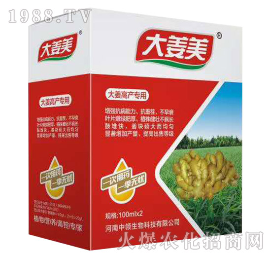 大姜高產(chǎn)專(zhuān)用-大姜美-中領(lǐng)生物