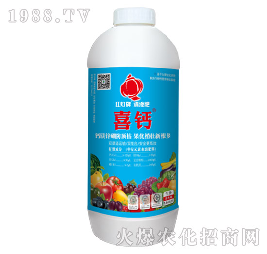 ϲ�}-������