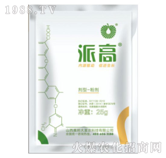 �ɸ�-����Ƽ�