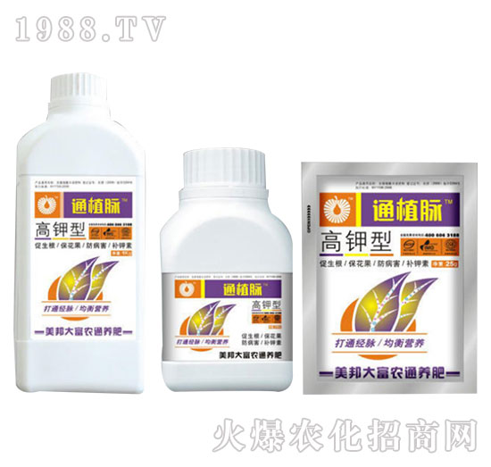 �����ֲͨ�}-����Ƽ�