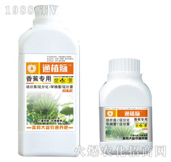 �㽶��(zhu��n)�÷�-ֲͨ�}-����Ƽ�