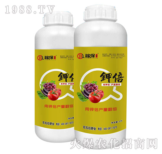 ⛱�-�ڱ�����-�{(l��n)����(gu��)�H