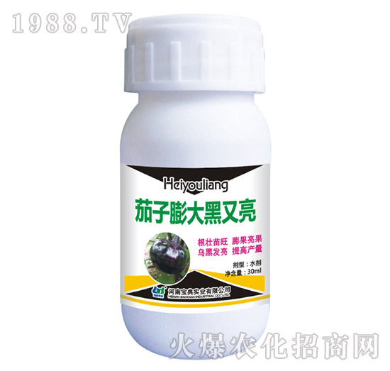 茄子膨大黑又亮-寶典實業(yè)