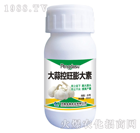 大蒜控旺膨大素-寶典實(shí)業(yè)