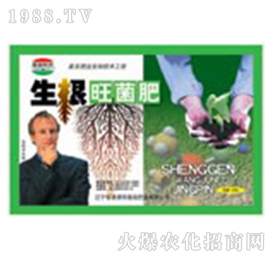 ����������-�μ�