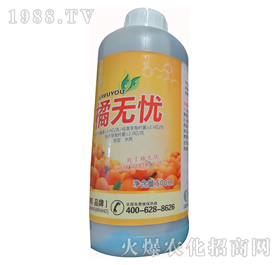 �ٟo�n-�ɰ��r(n��ng)�I(y��)