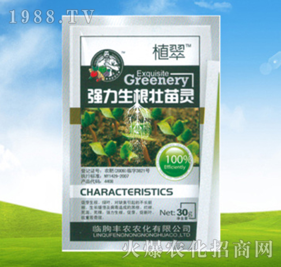 �������������`-ֲ��-�S�r�r��