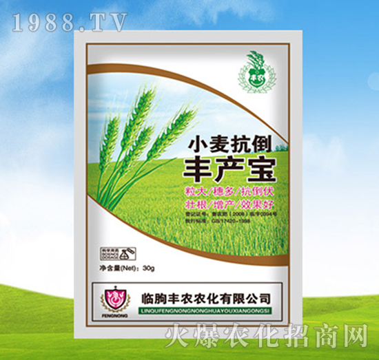 С�������S�a(ch��n)��-�S�r(n��ng)�r(n��ng)��