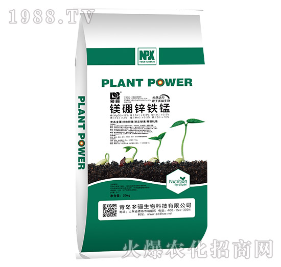 �V���\�F�i-���P����