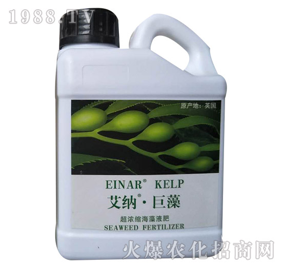 ����s����Һ��-���{������-���㺣