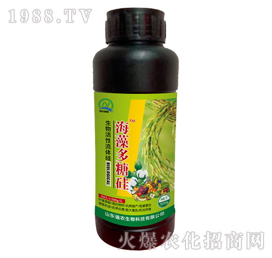 ����������w��-������ǹ�-��(qi��ng)�r(n��ng)