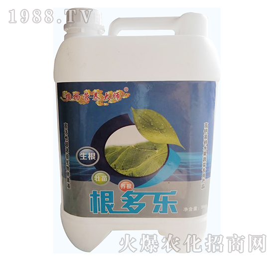 ������-���W����