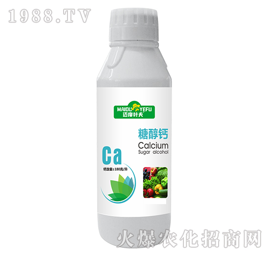 �Ǵ��}-�~���~��