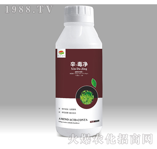 ��������-��������