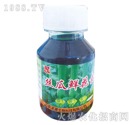 �z���r����-��������