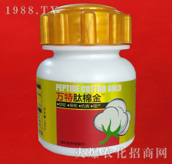 ���޽�-�f(w��n)��-�ٺ���(sh��)�I(y��)