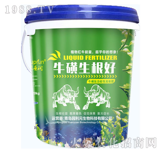 ����������-�@��Ԫ