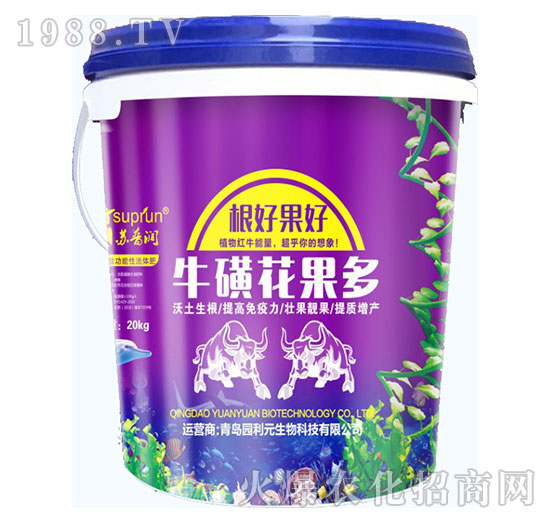 ���ǻ�����-�@��Ԫ