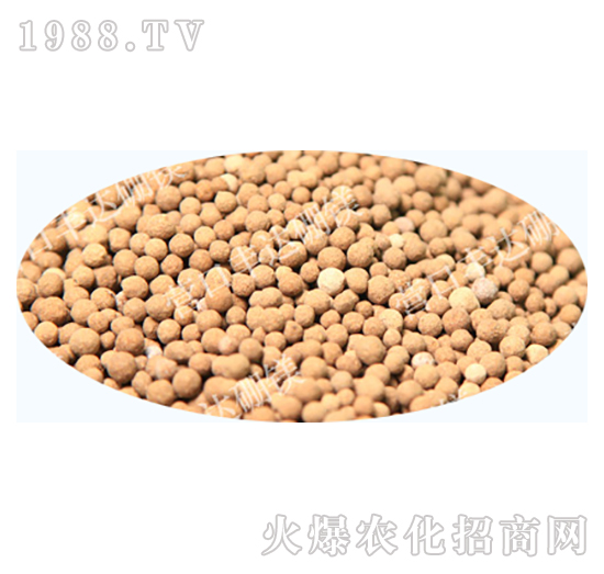 ��Ԫ���w����-�S�_��