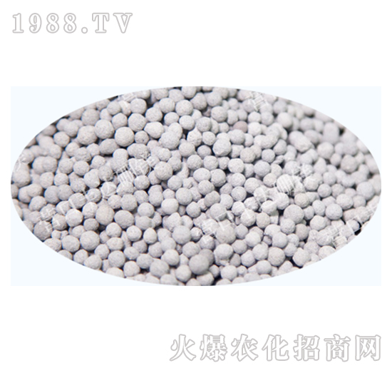 �V���w��-�S�_��