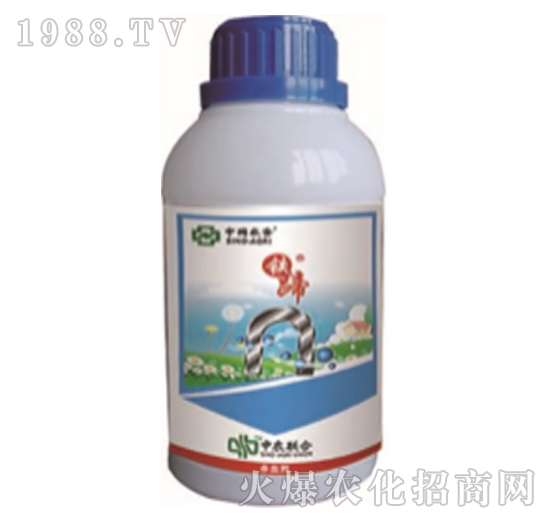 25��ÿ��(li��n)������-�F��-���r(li��n)��