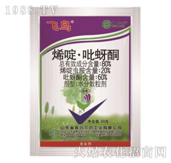 80%ϩड�����ͪ-�w�B-���r(n��ng)(li��n)��