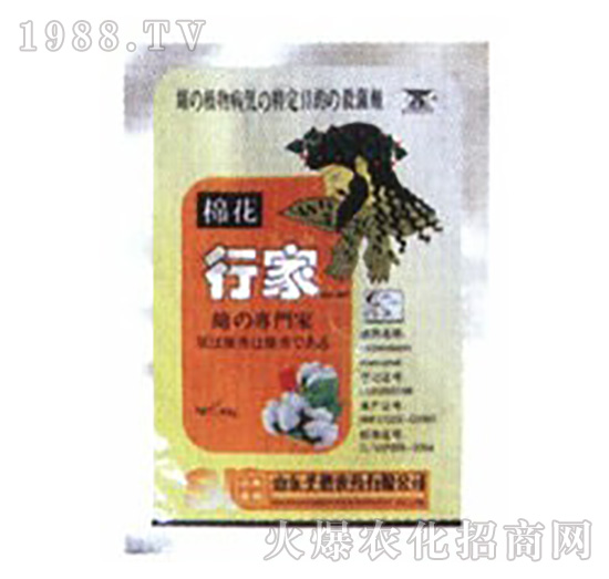 50%�ࡤ�i�\-��ˎ�м�-ʥ�i