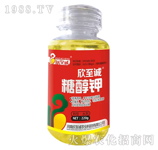 �Ǵ��-�����\