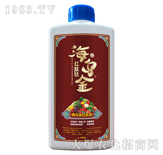 �t����-������-��������