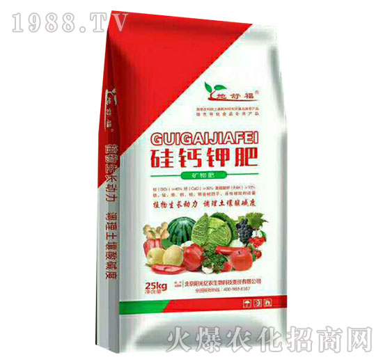 ���}⛷�-���渣-ꖹ�|�r(n��ng)