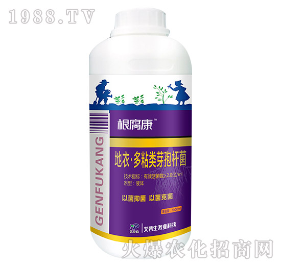 ������-������